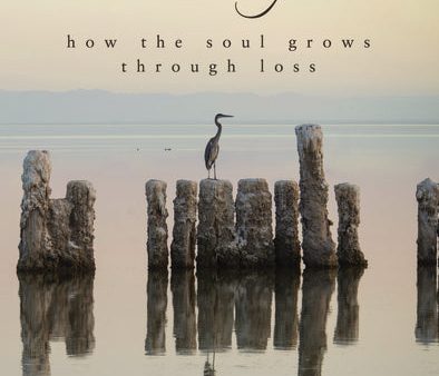 A Grace Disguised Revised and Expanded: How the Soul Grows through Loss Cheap