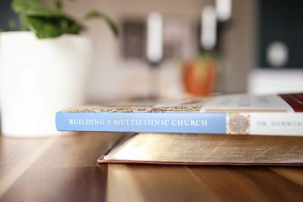 Building a Multiethnic Church: A Gospel Vision of Love, Grace, and Reconciliation in a Divided World Fashion