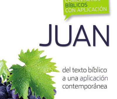 Comentario bíblico con aplicación NVI Juan: Del texto bíblico a una aplicación contemporánea Sale