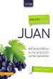 Comentario bíblico con aplicación NVI Juan: Del texto bíblico a una aplicación contemporánea Sale