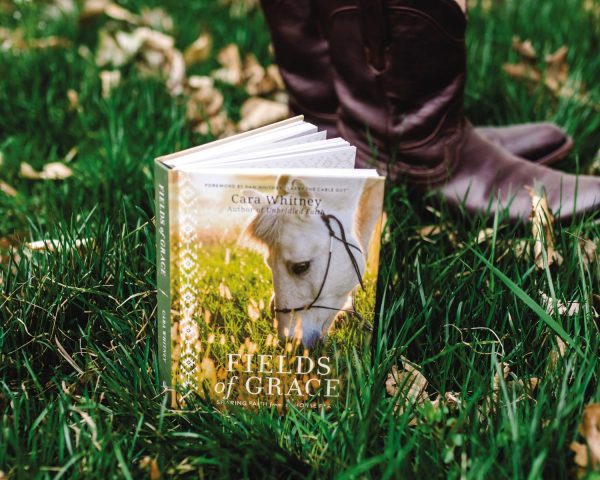 Fields of Grace: Sharing Faith from the Horse Farm Online Sale