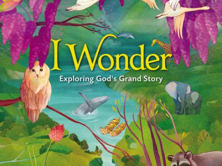 I Wonder: Exploring God s Grand Story: an Illustrated Bible Online