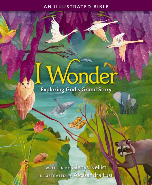 I Wonder: Exploring God s Grand Story: an Illustrated Bible Online